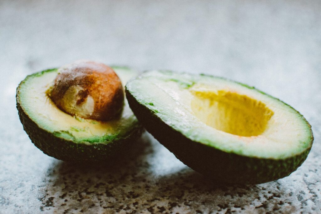 can cats eat avocado