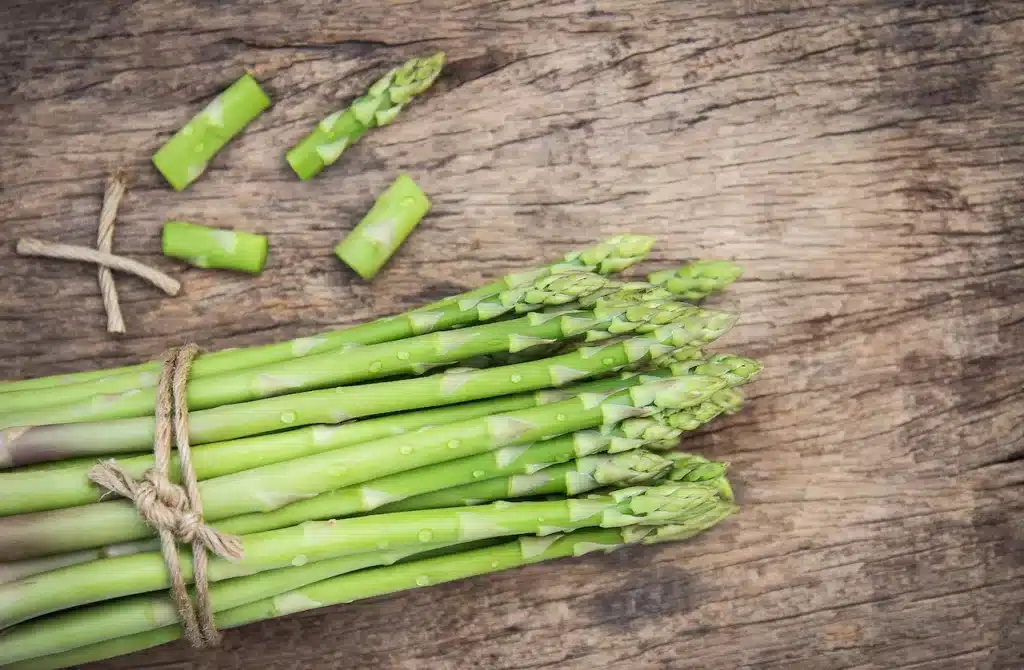 can dogs eat asparagus