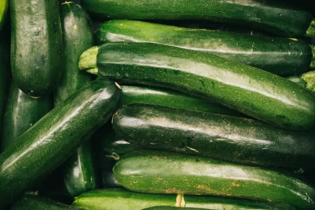 Can dogs eat zucchini?  Benefits of zucchini for dogs