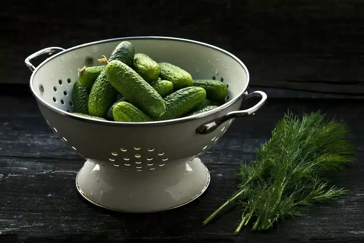 Can dogs eat pickles