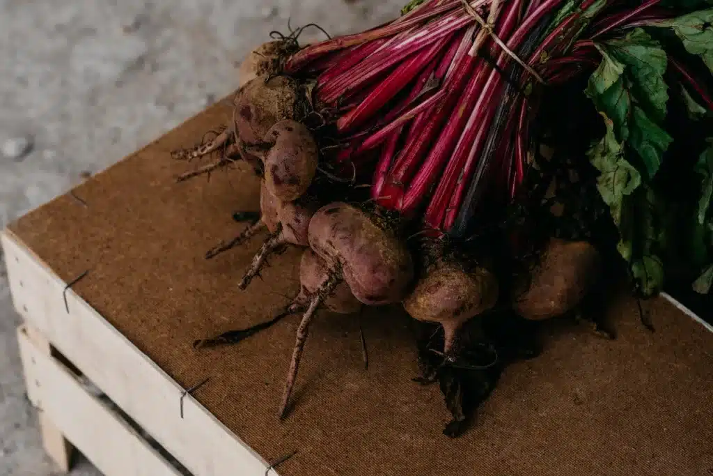 Can dogs eat beets?  Why are beets toxic for a dog?