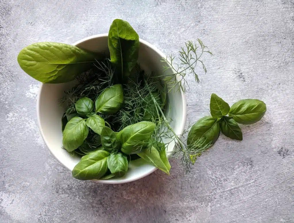 Can dogs eat dried basil