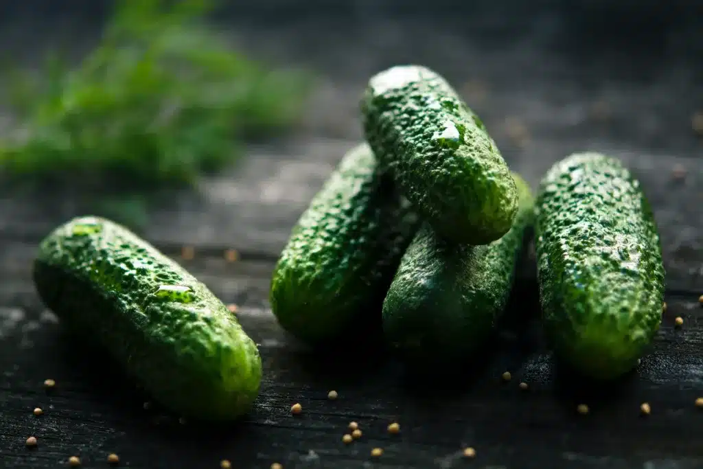 do cats like cucumbers