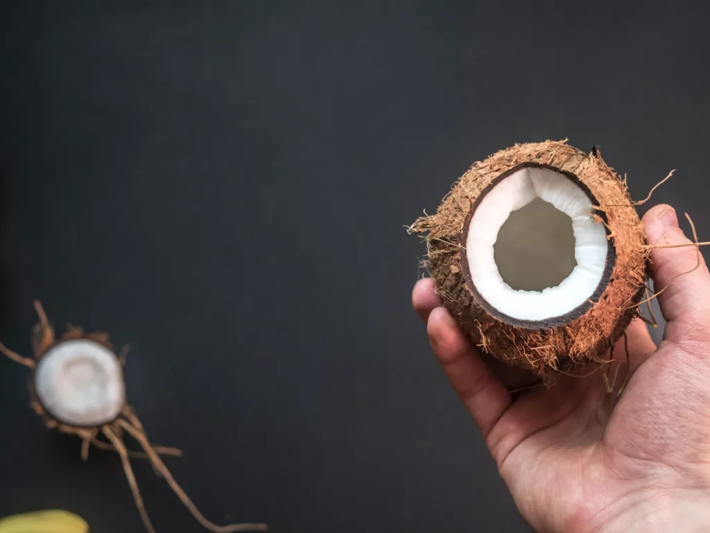 Can dogs eat shredded coconut