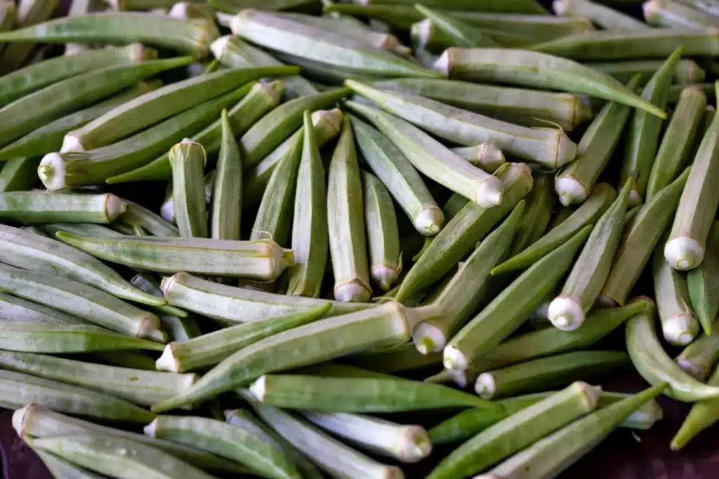 Can dogs eat okra