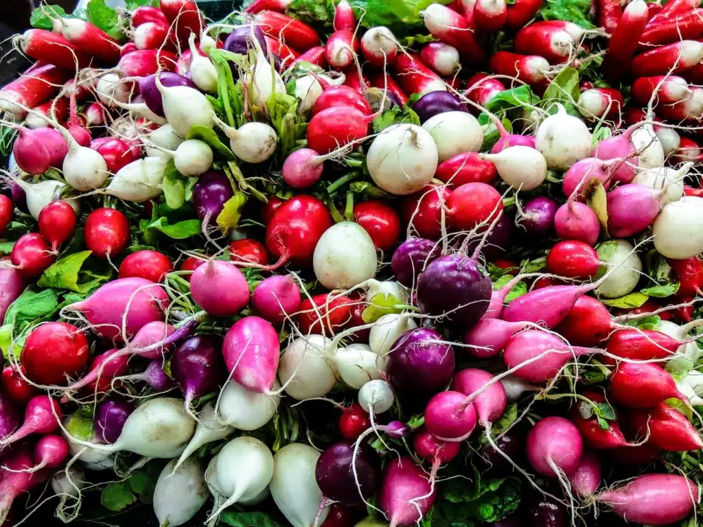 Can Dogs Eat Radish Leaves