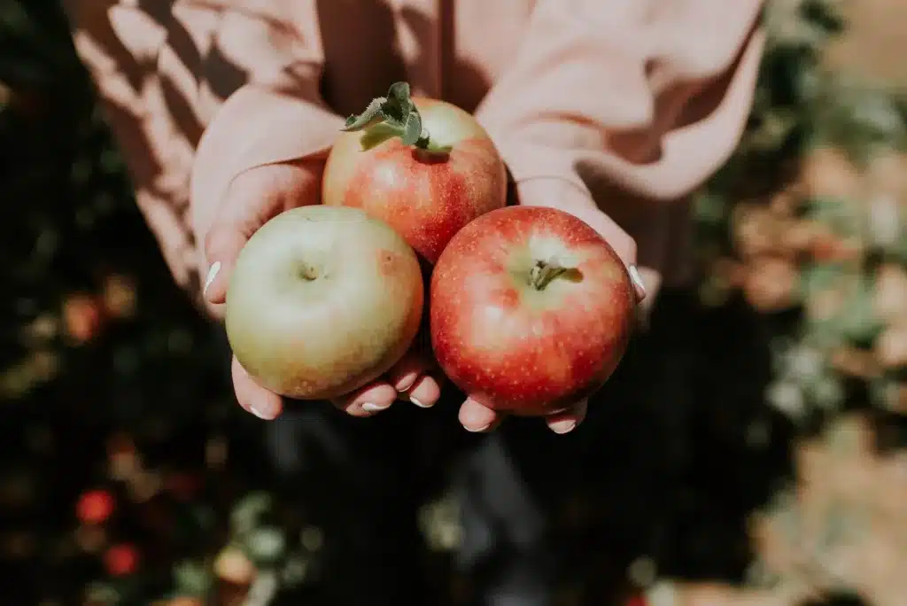 Can dogs eat apples