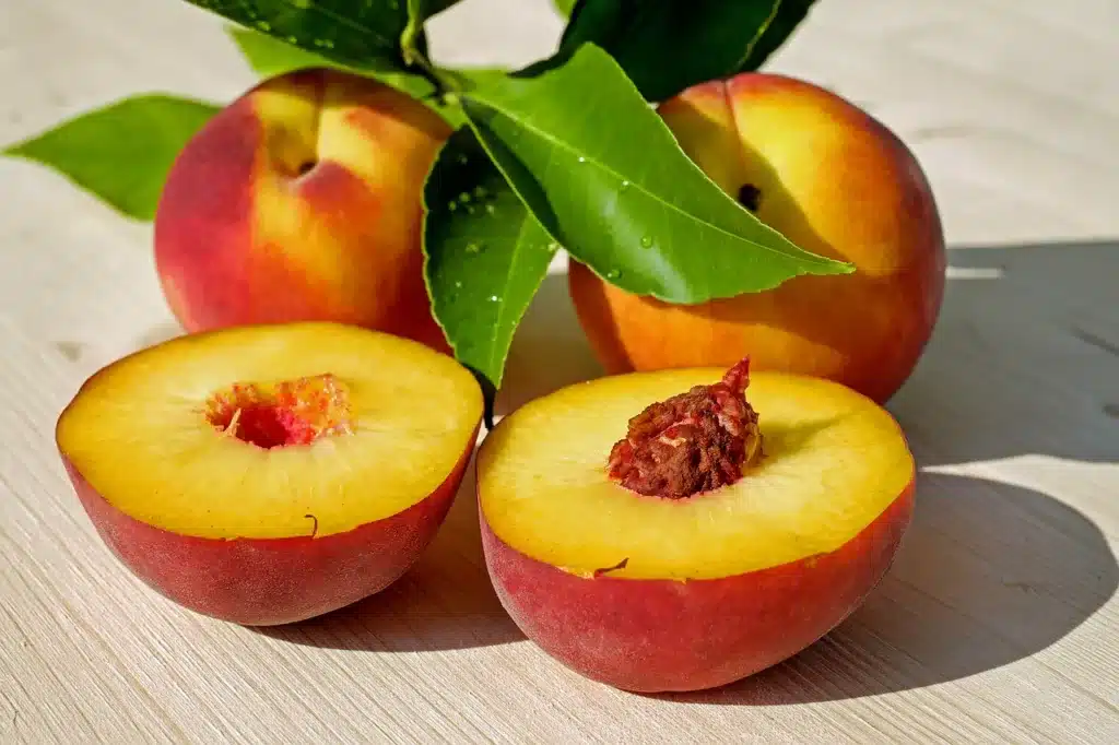 can dogs eat peaches