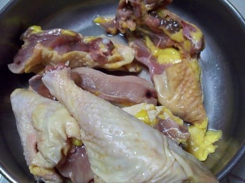 Grilled chicken breast for dogs