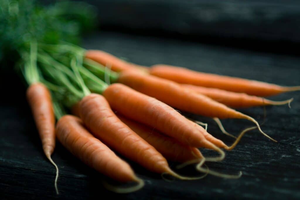 How to give carrots to my cat , carrots on table