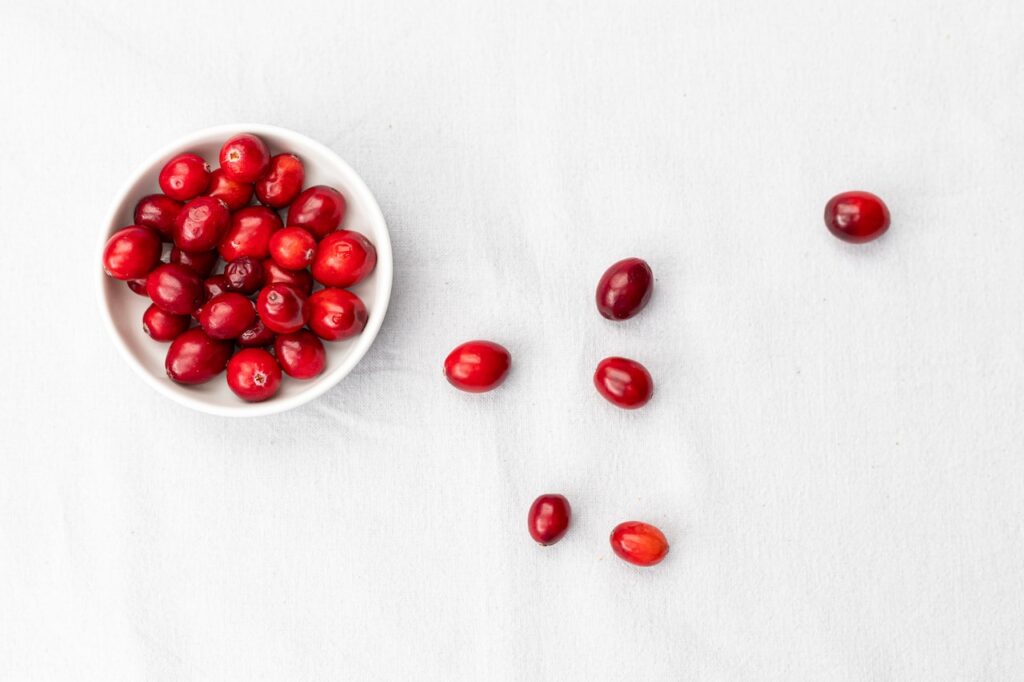 Can dogs eat cranberries? 