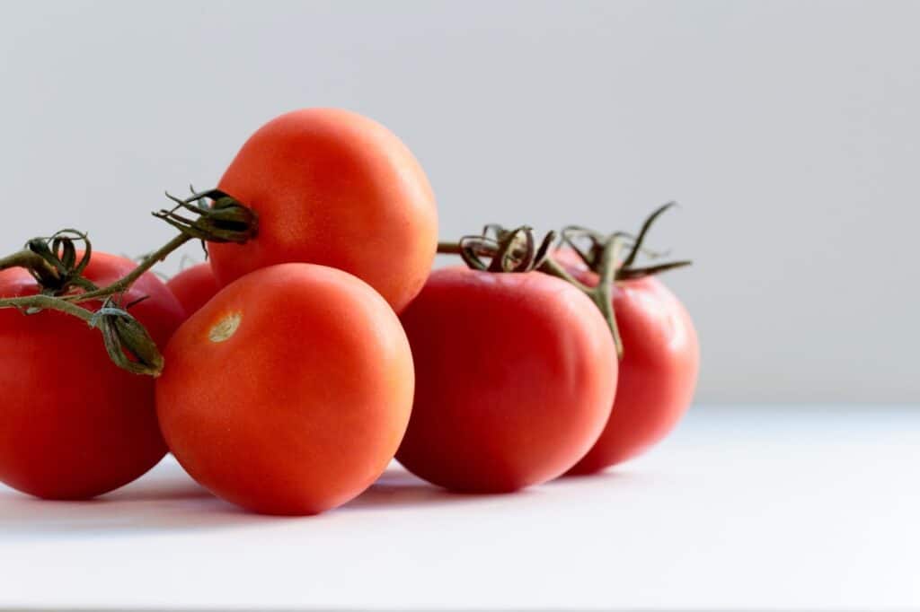 red tomato on white surface
Can dogs eat cherry tomatoes