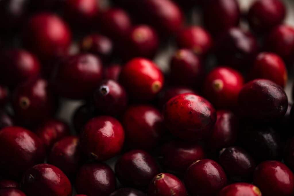 Can dogs eat cranberries? 
shallow focus photography of red berry lot