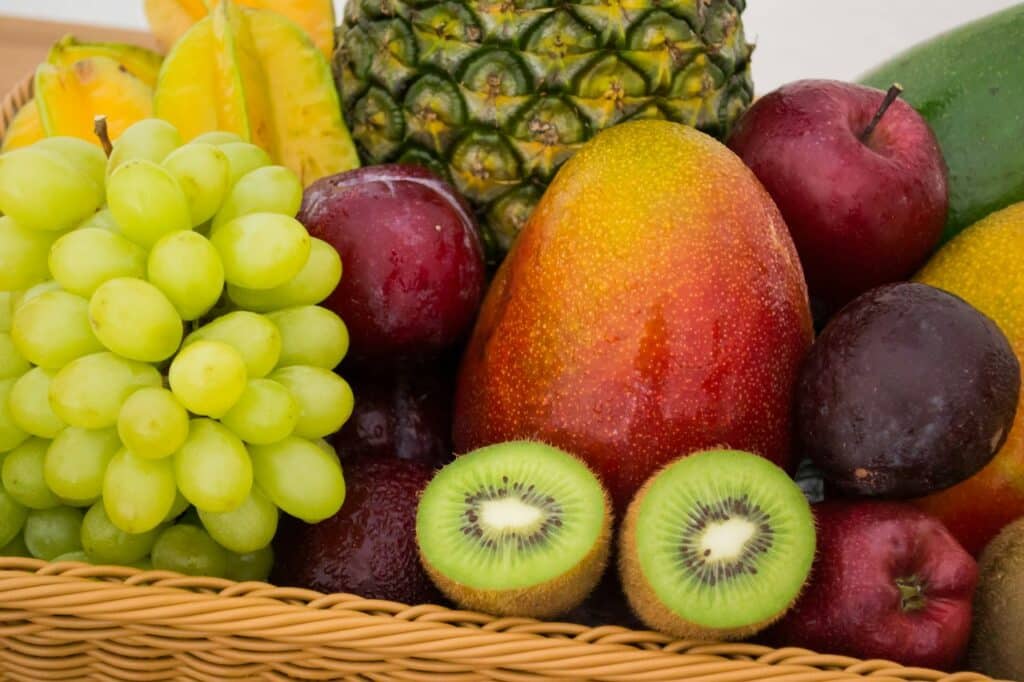 What fruits can dogs eat