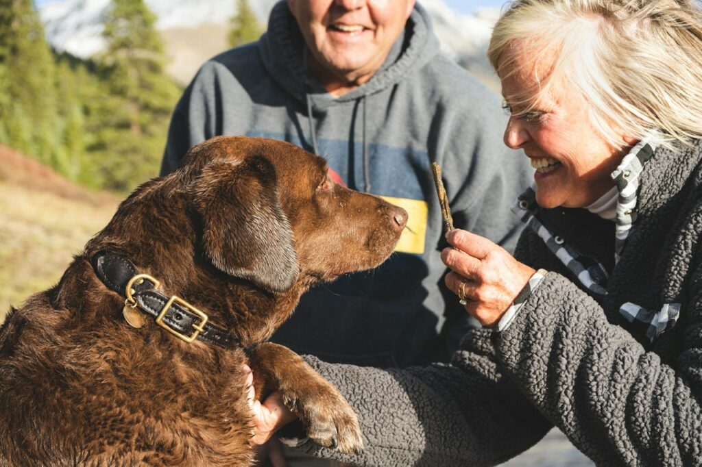 man in black jacket holding brown short coated dog, How to talk to your dog